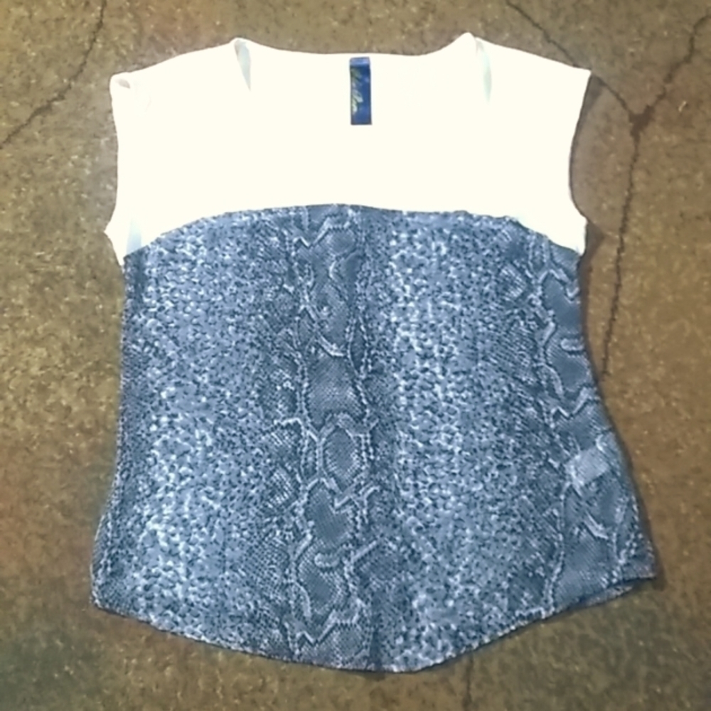 Francesca's Blue Rain Top